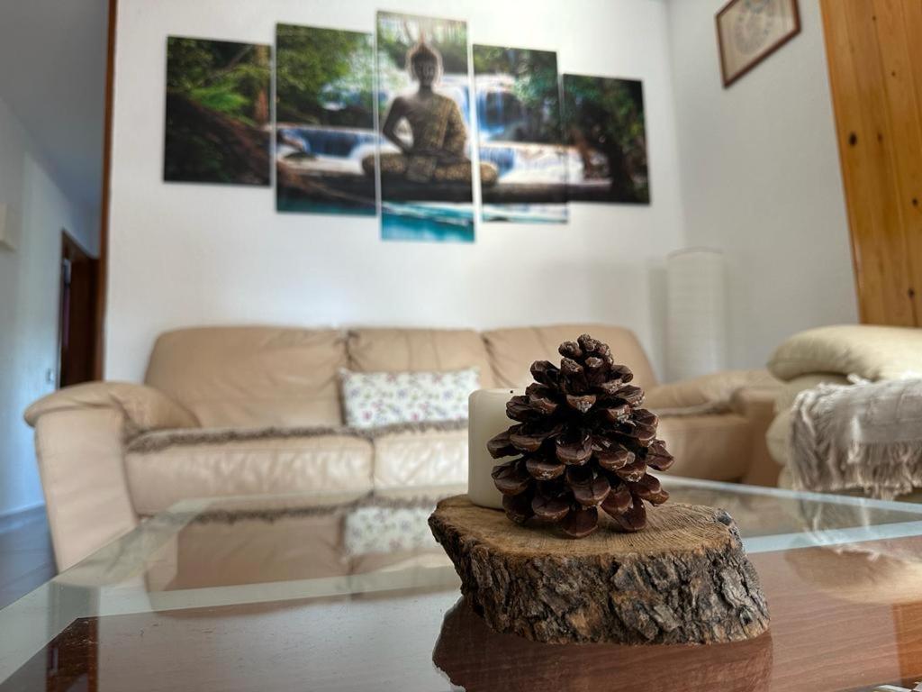Apartamento Can Giru Тордера Екстериор снимка